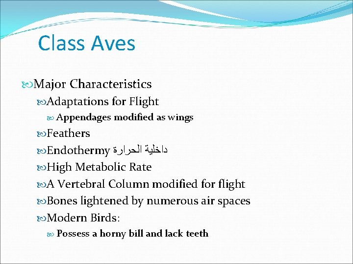 Class Aves Major Characteristics Adaptations for Flight Appendages modified as wings Feathers Endothermy ﺩﺍﺧﻠﻴﺔ Class Aves Major Characteristics Adaptations for Flight Appendages modified as wings Feathers Endothermy ﺩﺍﺧﻠﻴﺔ