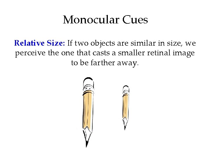 Monocular Cues Relative Size: If two objects are similar in size, we perceive the