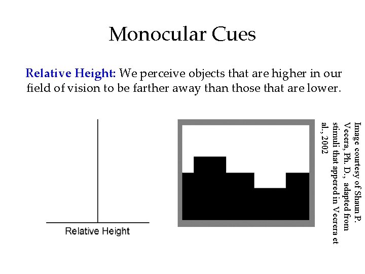 Monocular Cues Relative Height: We perceive objects that are higher in our field of