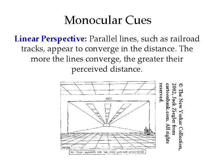 Monocular Cues Linear Perspective: Parallel lines, such as railroad tracks, appear to converge in