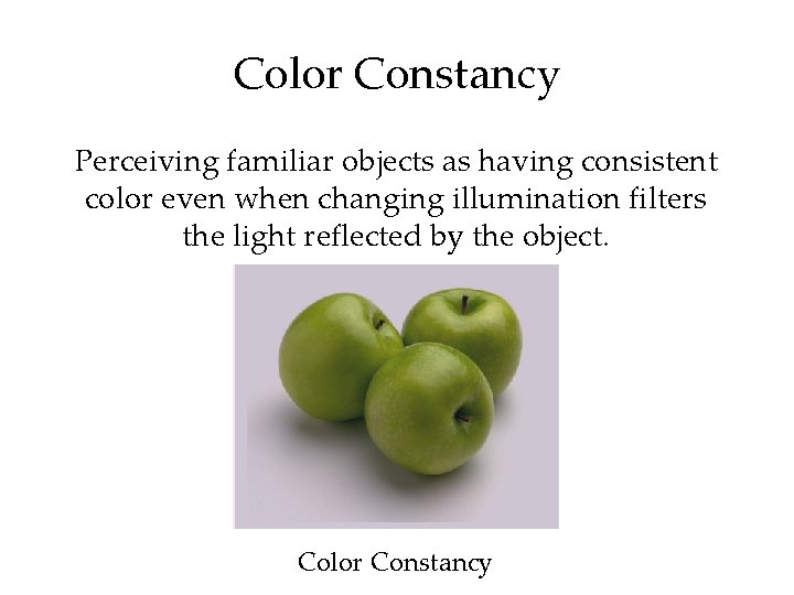 Color Constancy Perceiving familiar objects as having consistent color even when changing illumination filters