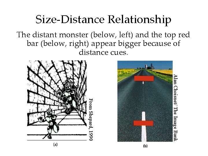 Size-Distance Relationship The distant monster (below, left) and the top red bar (below, right)