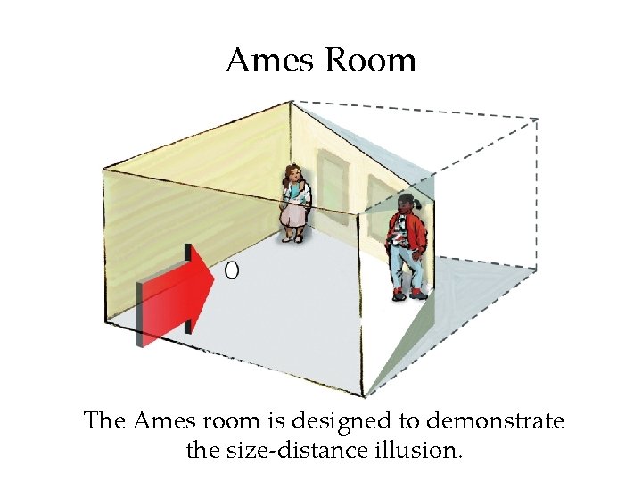 Ames Room The Ames room is designed to demonstrate the size-distance illusion. 