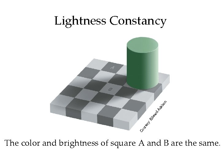 Co ur tes y Ed wa rd Ad els on Lightness Constancy The color