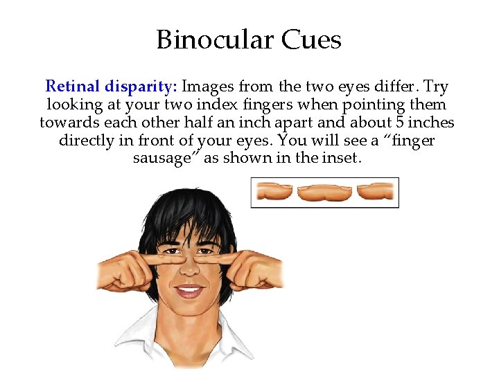 Binocular Cues Retinal disparity: Images from the two eyes differ. Try looking at your