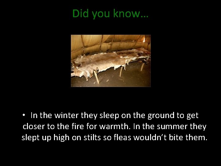 Did you know… • In the winter they sleep on the ground to get