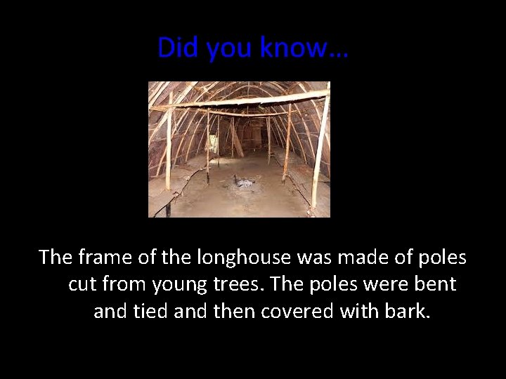 Did you know… The frame of the longhouse was made of poles cut from
