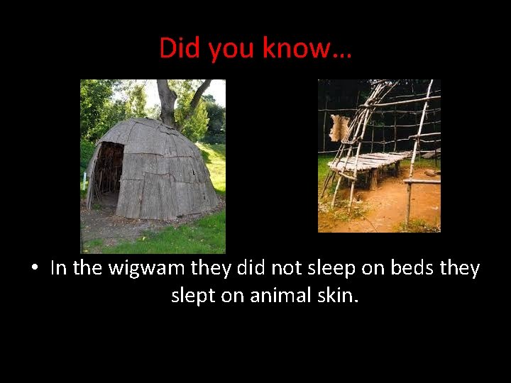 Did you know… • In the wigwam they did not sleep on beds they