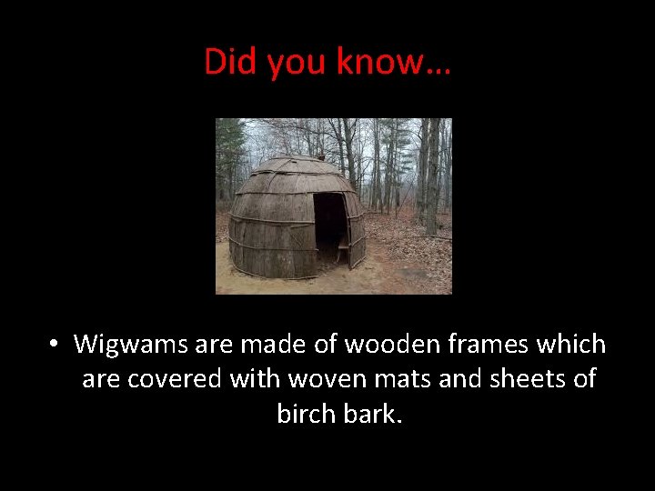 Did you know… • Wigwams are made of wooden frames which are covered with