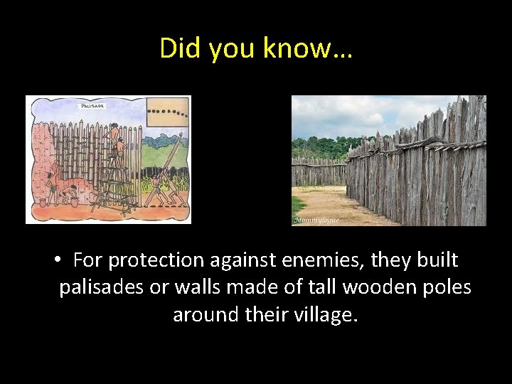 Did you know… • For protection against enemies, they built palisades or walls made