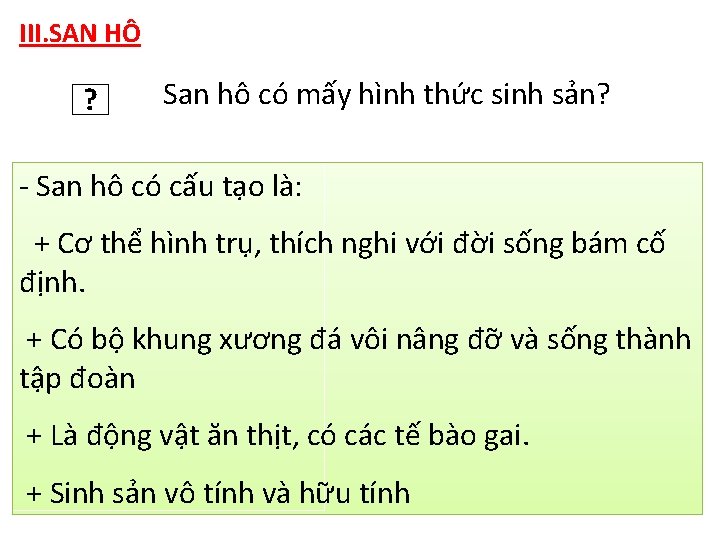 III. SAN HÔ ? San hô có mấy hình thức sinh sản? - San