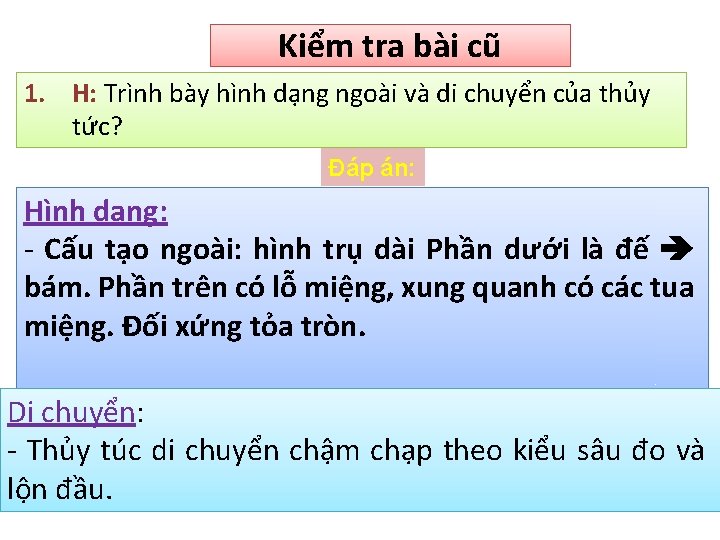 Kiểm tra bài cũ 1. H: Trình bày hình dạng ngoài và di chuyển