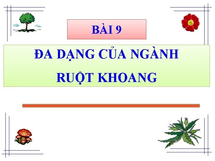 BÀI 9 ĐA DẠNG CỦA NGÀNH RUỘT KHOANG 