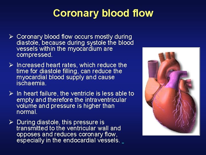 Coronary blood flow Ø Coronary blood flow occurs mostly during diastole, because during systole Coronary blood flow Ø Coronary blood flow occurs mostly during diastole, because during systole