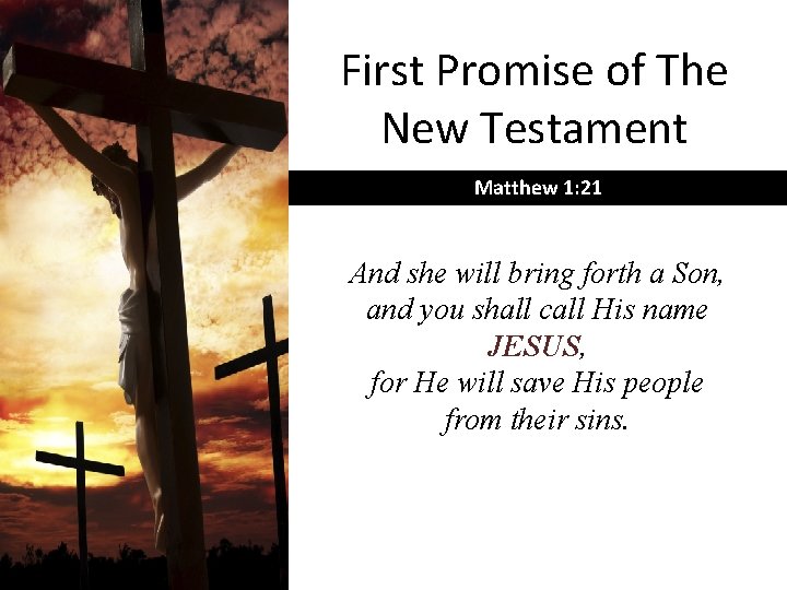First Promise of The New Testament Matthew 1: 21 And she will bring forth