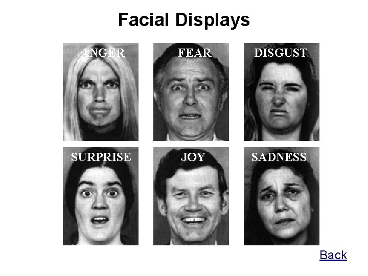 Facial Displays ANGER FEAR DISGUST SURPRISE JOY SADNESS Back 