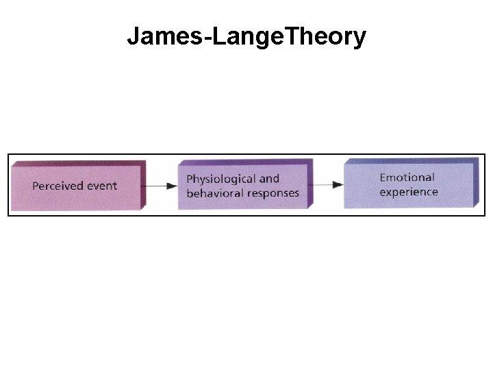 James-Lange. Theory Also called the James-Lange theory of emotion Saul Kassin, Psychology. Copyright ©