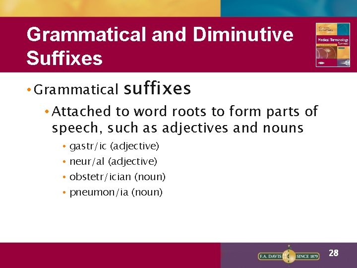 Grammatical and Diminutive Suffixes • Grammatical suffixes • Attached to word roots to form