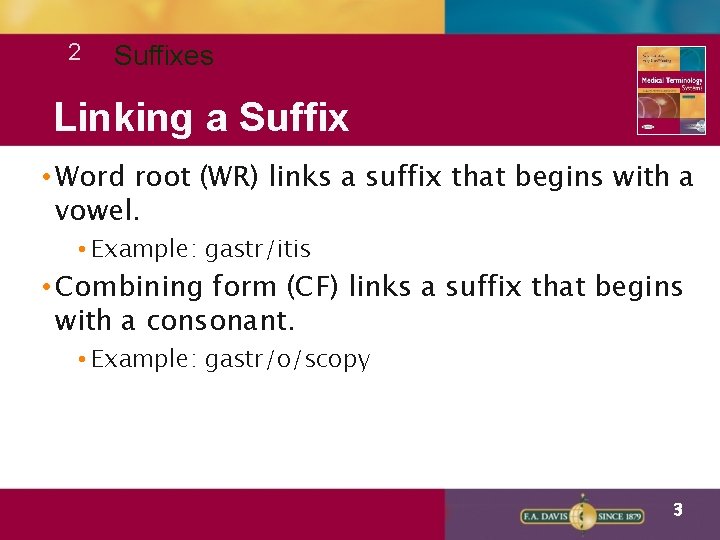 2 Suffixes Linking a Suffix • Word root (WR) links a suffix that begins