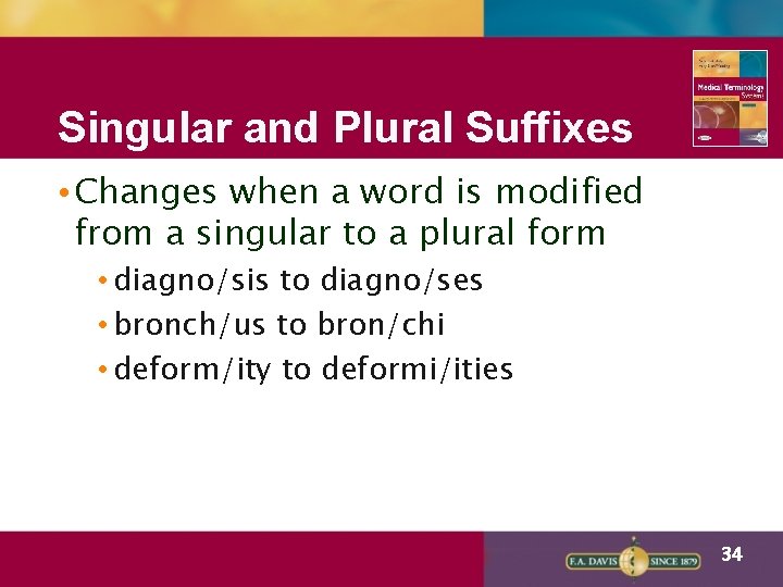 Singular and Plural Suffixes • Changes when a word is modified from a singular