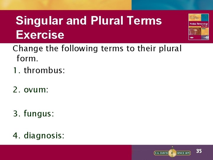 Singular and Plural Terms Exercise Change the following terms to their plural form. 1.