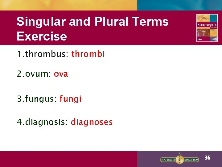 Singular and Plural Terms Exercise 1. thrombus: thrombi 2. ovum: ova 3. fungus: fungi