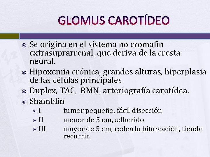 GLOMUS CAROTÍDEO Se origina en el sistema no cromafin extrasuprarrenal, que deriva de la