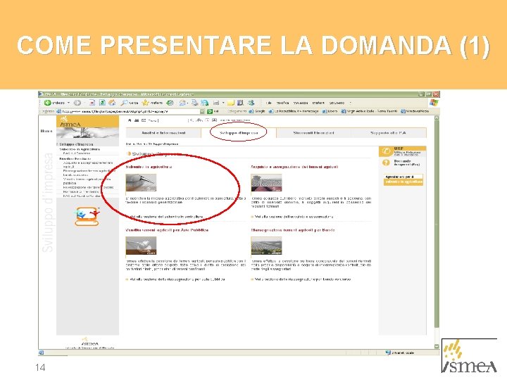 COME PRESENTARE LA DOMANDA (1) 14 