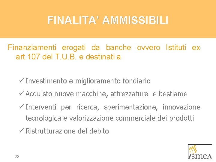 FINALITA’ AMMISSIBILI Finanziamenti erogati da banche ovvero Istituti ex art. 107 del T. U.