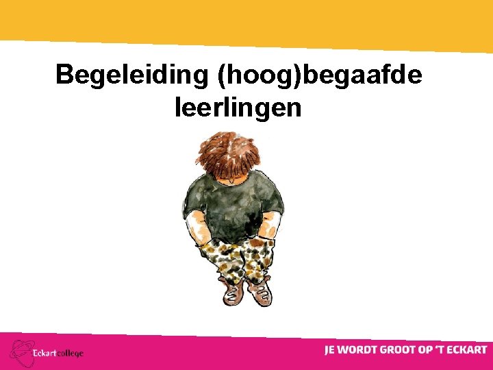 Begeleiding (hoog)begaafde leerlingen 