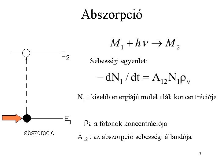 Abszorpció Sebességi egyenlet: N 1 : kisebb energiájú molekulák koncentrációja : a fotonok koncentrációja