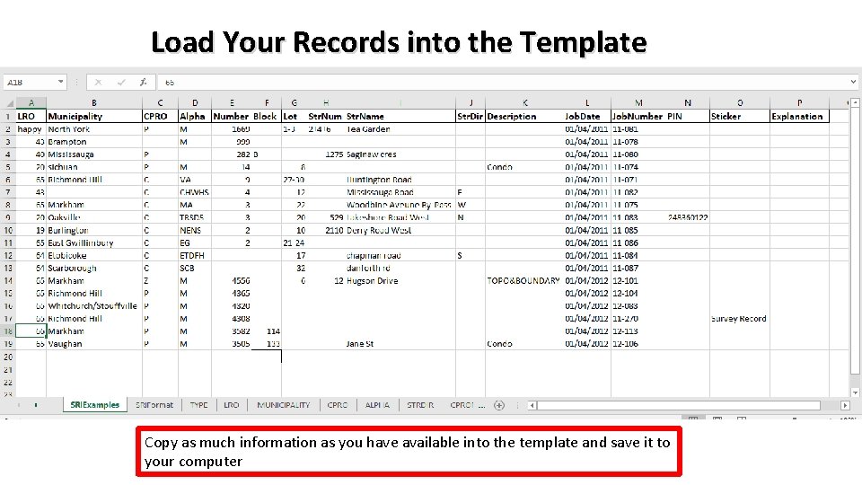 Load Your Records into the Template Copy as much information as you have available