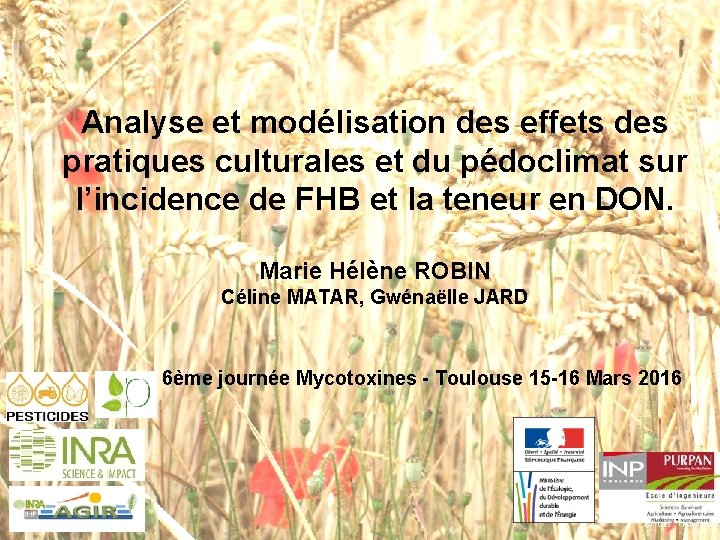 Analyse et modélisation des effets des pratiques culturales et du pédoclimat sur l’incidence de