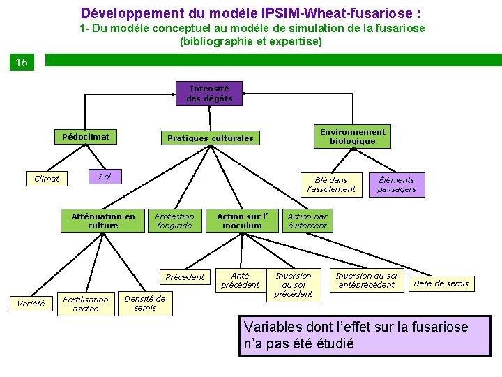 Développement du modèle IPSIM-Wheat-fusariose : 1 - Du modèle conceptuel au modèle de simulation