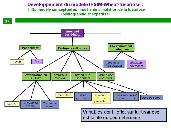 Développement du modèle IPSIM-Wheat-fusariose : 1 - Du modèle conceptuel au modèle de simulation