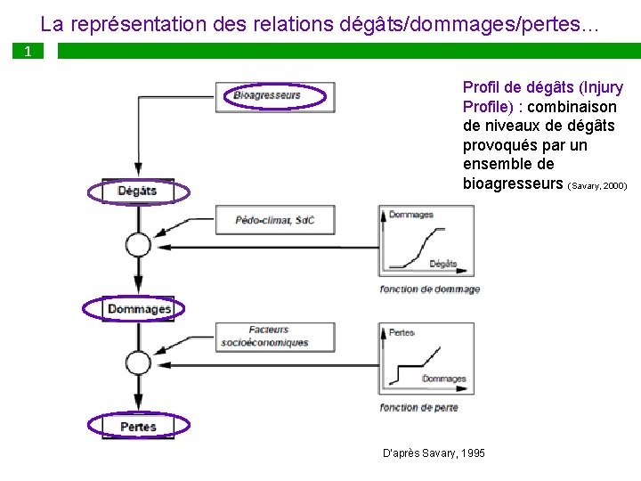 La représentation des relations dégâts/dommages/pertes… 1 Profil de dégâts (Injury Profile) : combinaison de