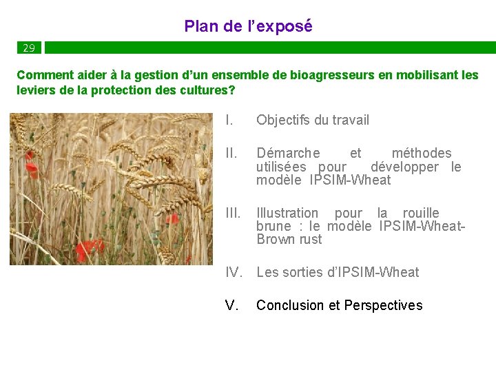 Plan de l’exposé 29 32 Comment aider à la gestion d’un ensemble de bioagresseurs