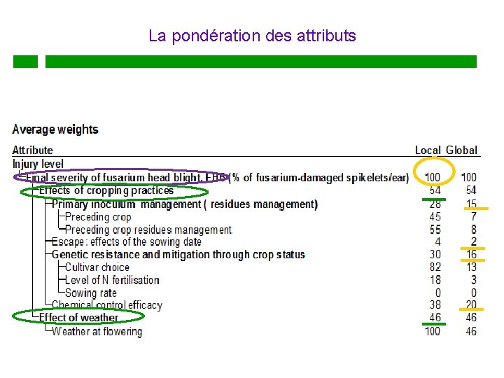 La pondération des attributs 