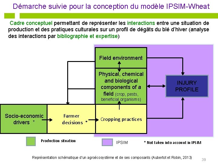 Démarche suivie pour la conception du modèle IPSIM-Wheat Cadre conceptuel permettant de représenter les