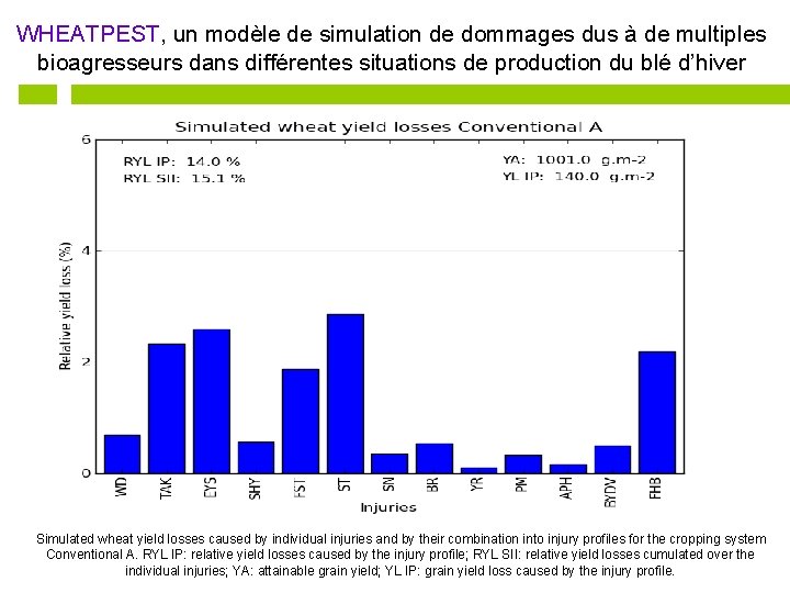 WHEATPEST, un modèle de simulation de dommages dus à de multiples bioagresseurs dans différentes