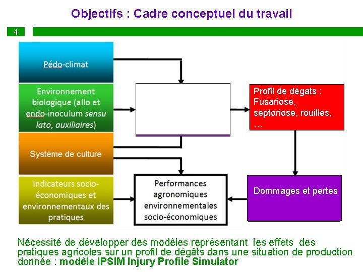 Objectifs : Cadre conceptuel du travail 4 Outil à construire Profil de dégats :