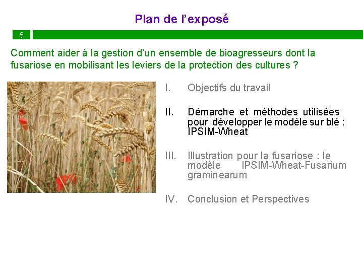 Plan de l’exposé 6 Comment aider à la gestion d’un ensemble de bioagresseurs dont