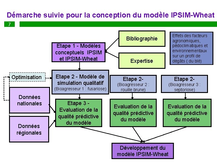 Démarche suivie pour la conception du modèle IPSIM-Wheat 7 8 Effets des facteurs agronomiques,