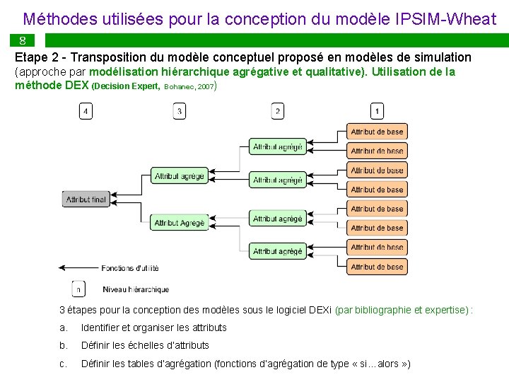 Méthodes utilisées pour la conception du modèle IPSIM-Wheat 8 Etape 2 - Transposition du