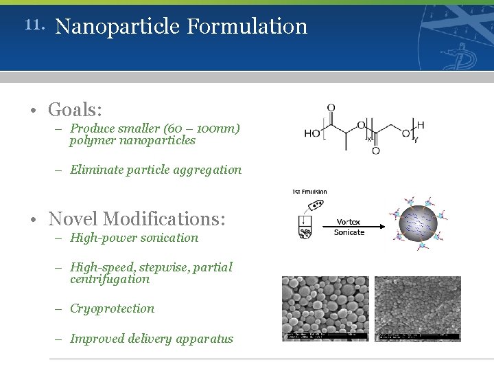 11. Nanoparticle Formulation • Goals: – Produce smaller (60 – 100 nm) polymer nanoparticles