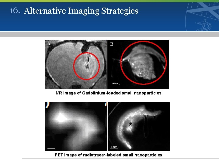 16. Alternative Imaging Strategies A B MR image of Gadolinium-loaded small nanoparticles PET image