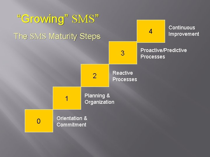 “Growing” SMS” 4 The SMS Maturity Steps 3 2 1 0 Reactive Processes Planning