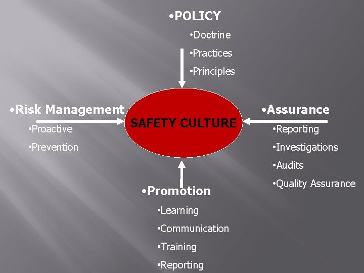  • POLICY • Doctrine • Practices • Principles • Risk Management • Proactive