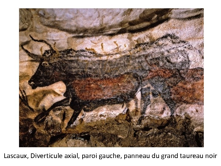 Lascaux, Diverticule axial, paroi gauche, panneau du grand taureau noir 