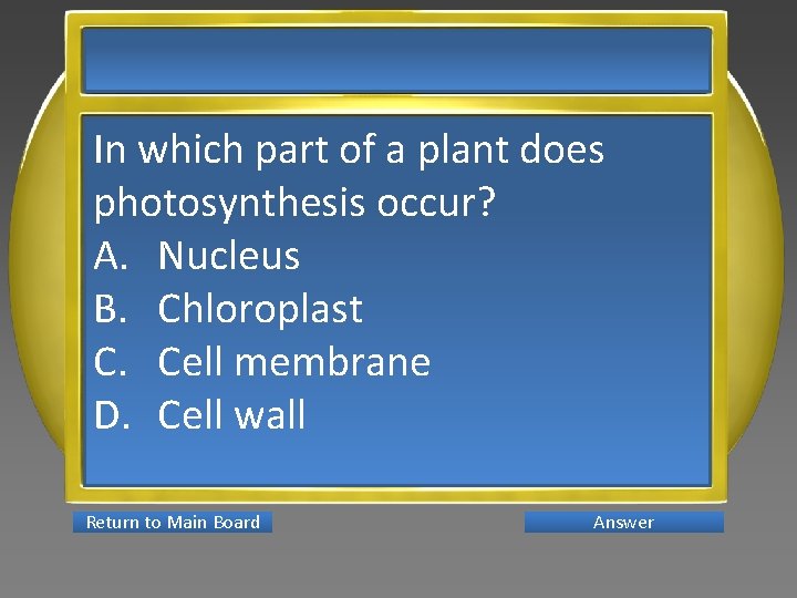 In which part of a plant does photosynthesis occur? A. Nucleus B. Chloroplast C.